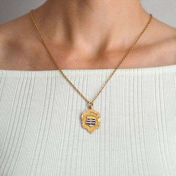 Art Deco English 9kt Enameled Medallion Badge Pendant - Image 5